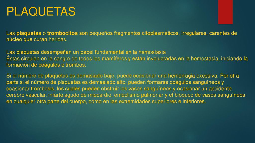 PLAQUETAS Las plaquetas o trombocitos son pequeños fragmentos citoplasmáticos, irregulares, carentes de núcleo que curan heridas.