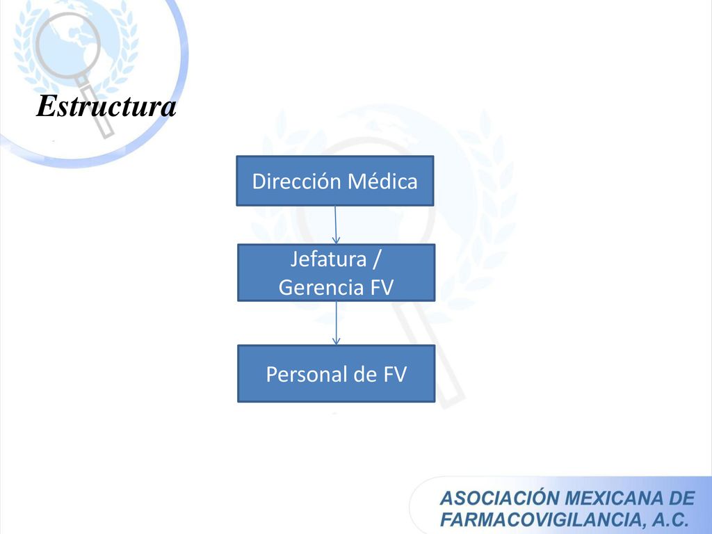 Estructura Dirección Médica Jefatura / Gerencia FV Personal de FV