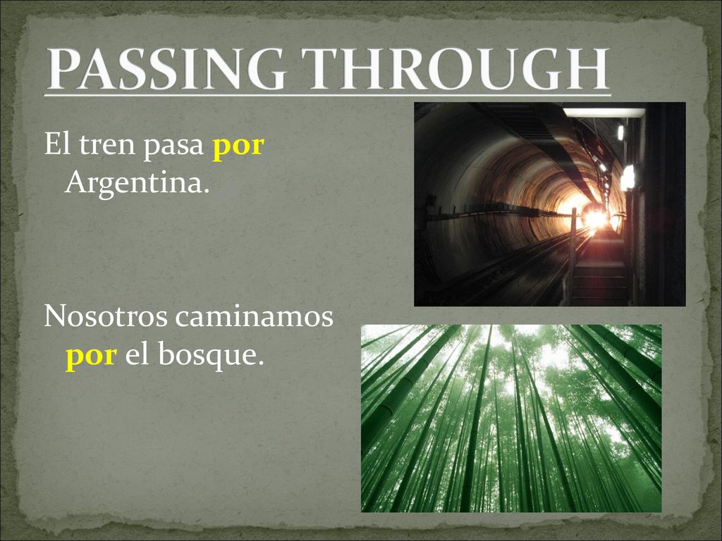 PASSING THROUGH El tren pasa por Argentina. Nosotros caminamos por el bosque.