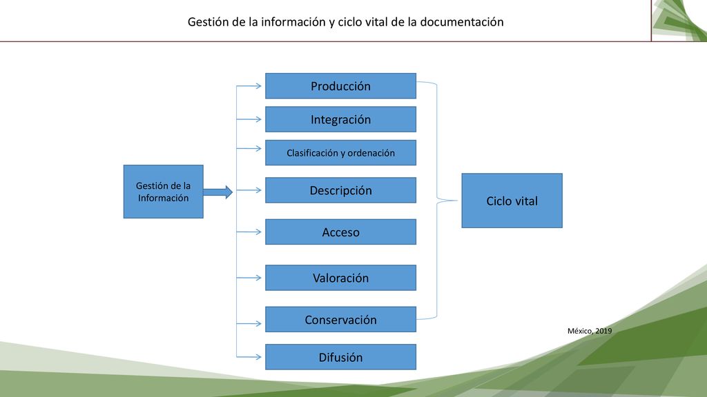 Gestión de la información y ciclo vital de la documentación