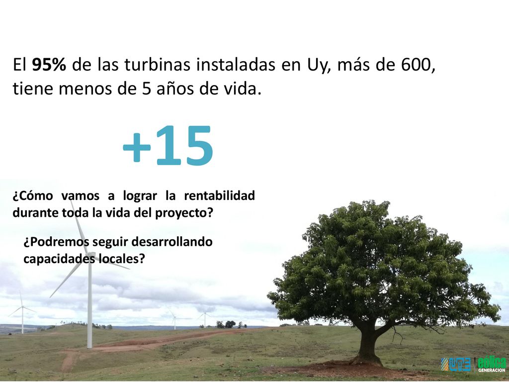 El 95% de las turbinas instaladas en Uy, más de 600, tiene menos de 5 años de vida.