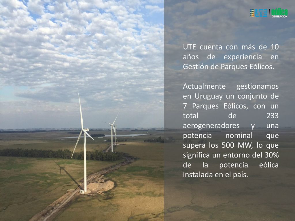 UTE cuenta con más de 10 años de experiencia en Gestión de Parques Eólicos.