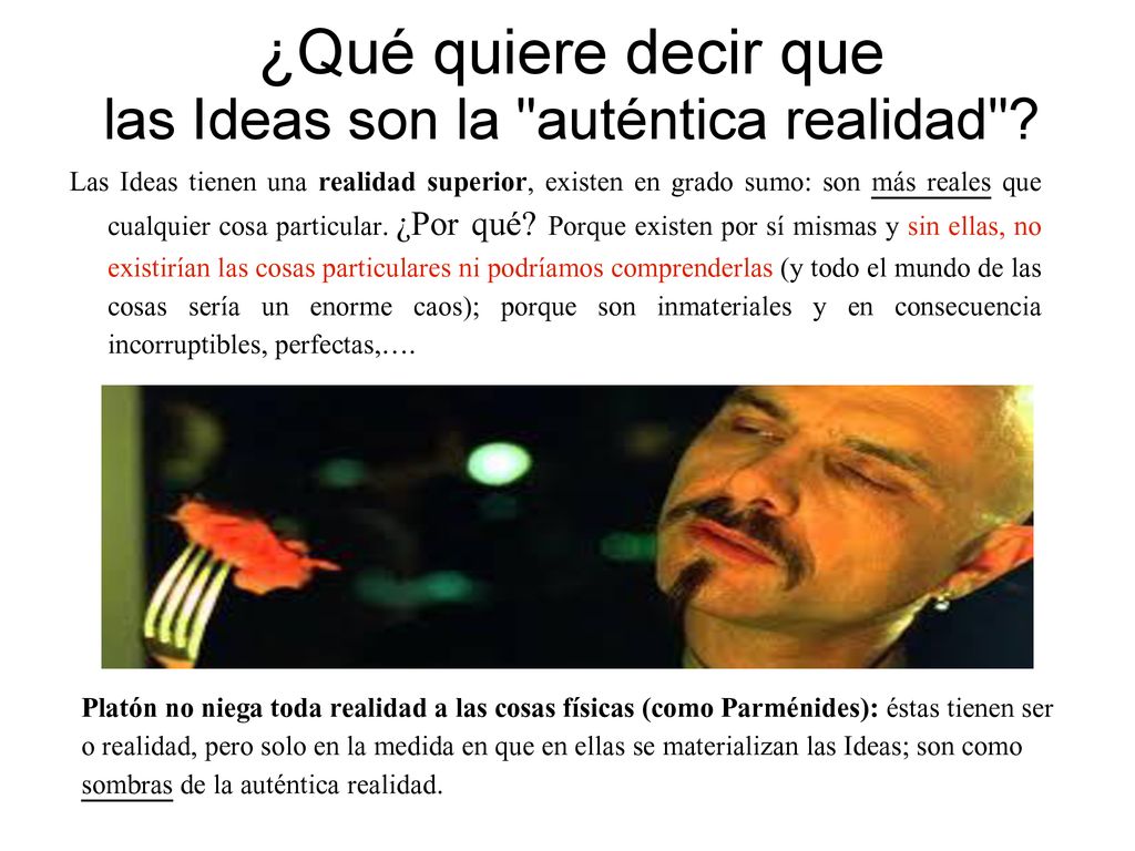 ¿Qué quiere decir que las Ideas son la auténtica realidad