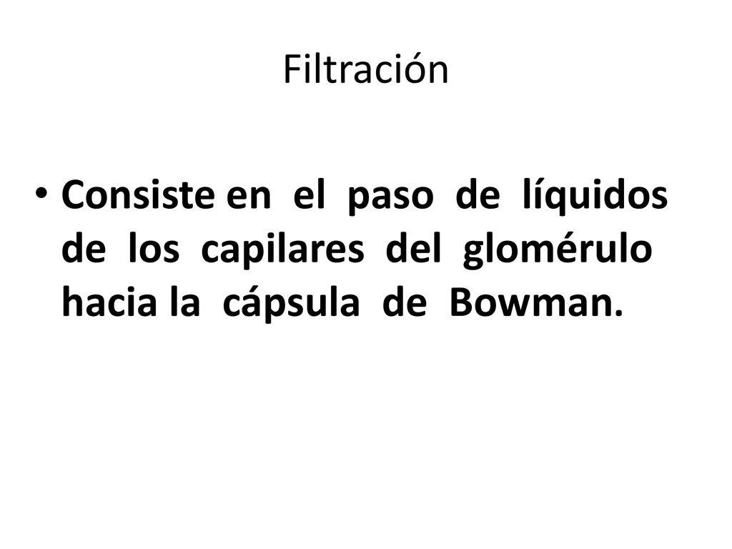 Filtración Consiste en el paso de líquidos de los capilares del glomérulo hacia la cápsula de Bowman.
