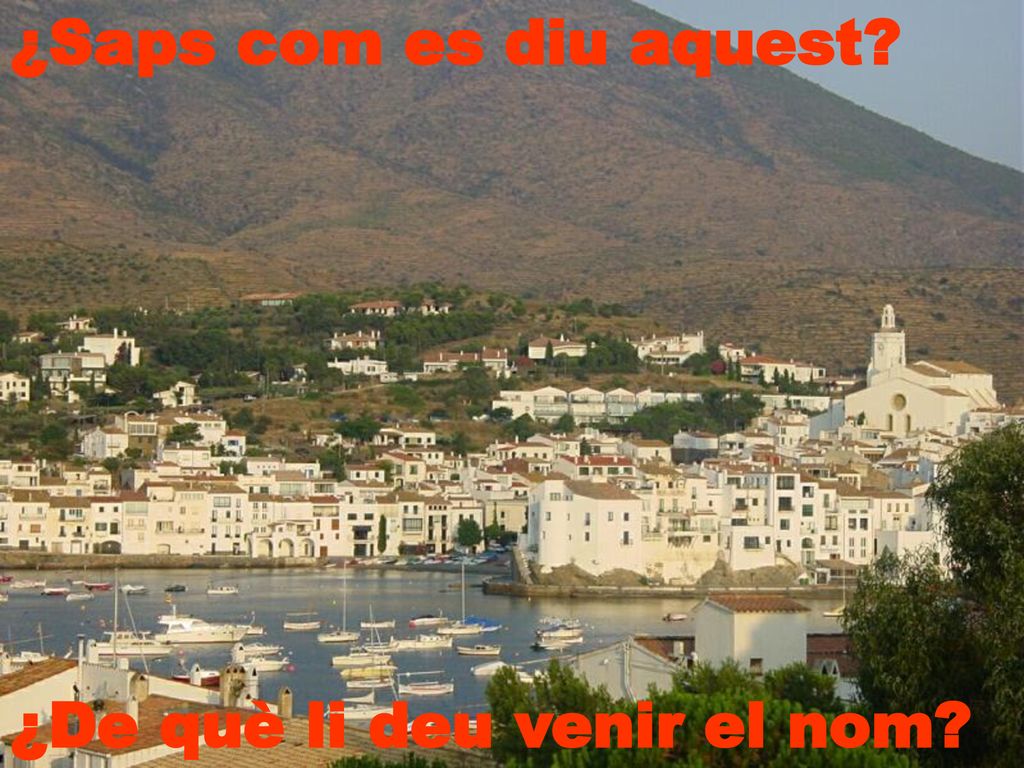 ¿Saps com es diu aquest ¿De què li deu venir el nom