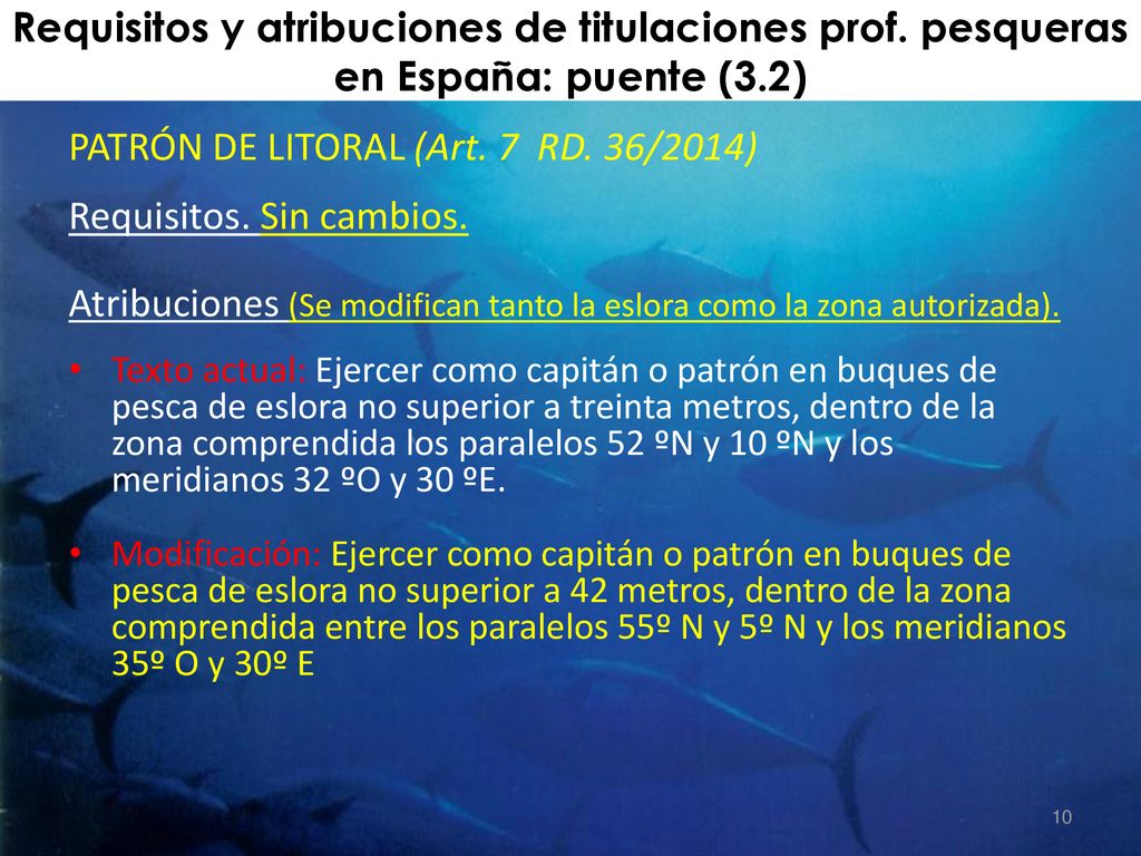 PATRÓN DE LITORAL (Art. 7 RD. 36/2014) Requisitos. Sin cambios.