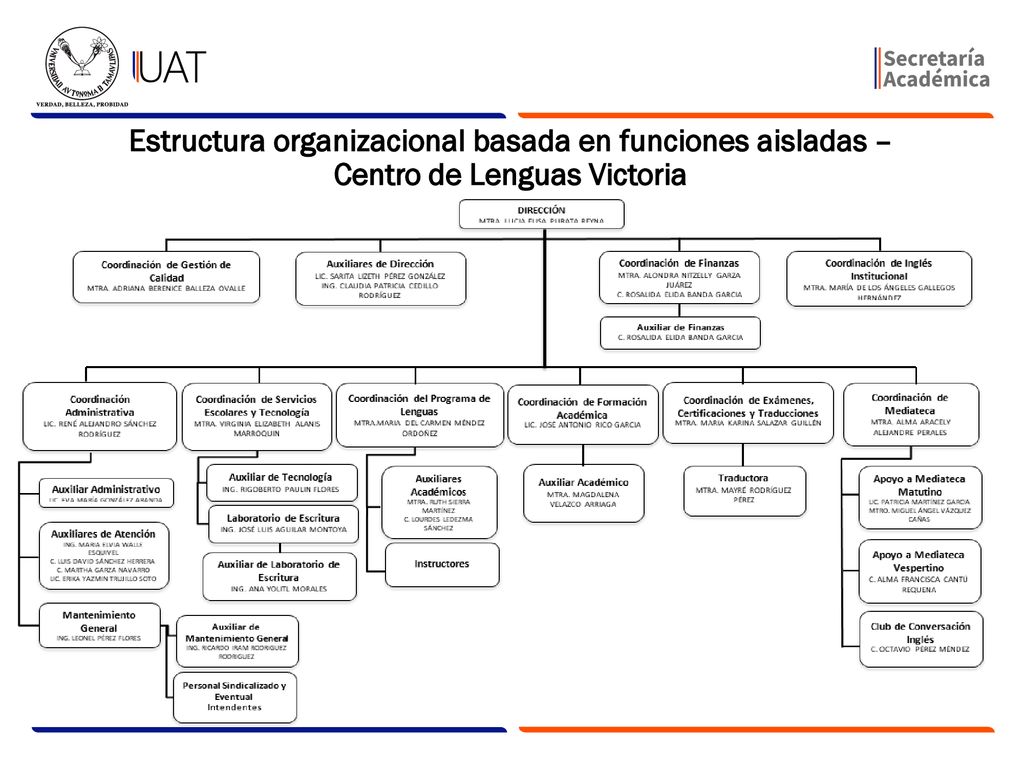 Estructura organizacional basada en funciones aisladas – Centro de Lenguas Victoria