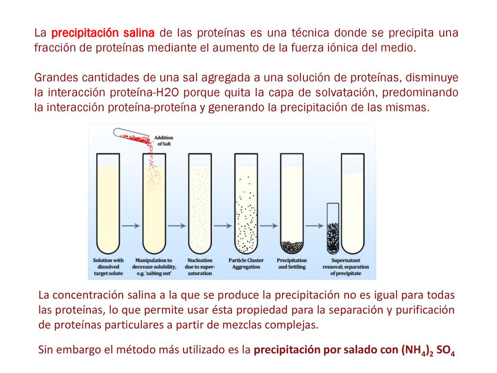 La precipitación salina de las proteínas es una técnica donde se precipita una fracción de proteínas mediante el aumento de la fuerza iónica del medio.
