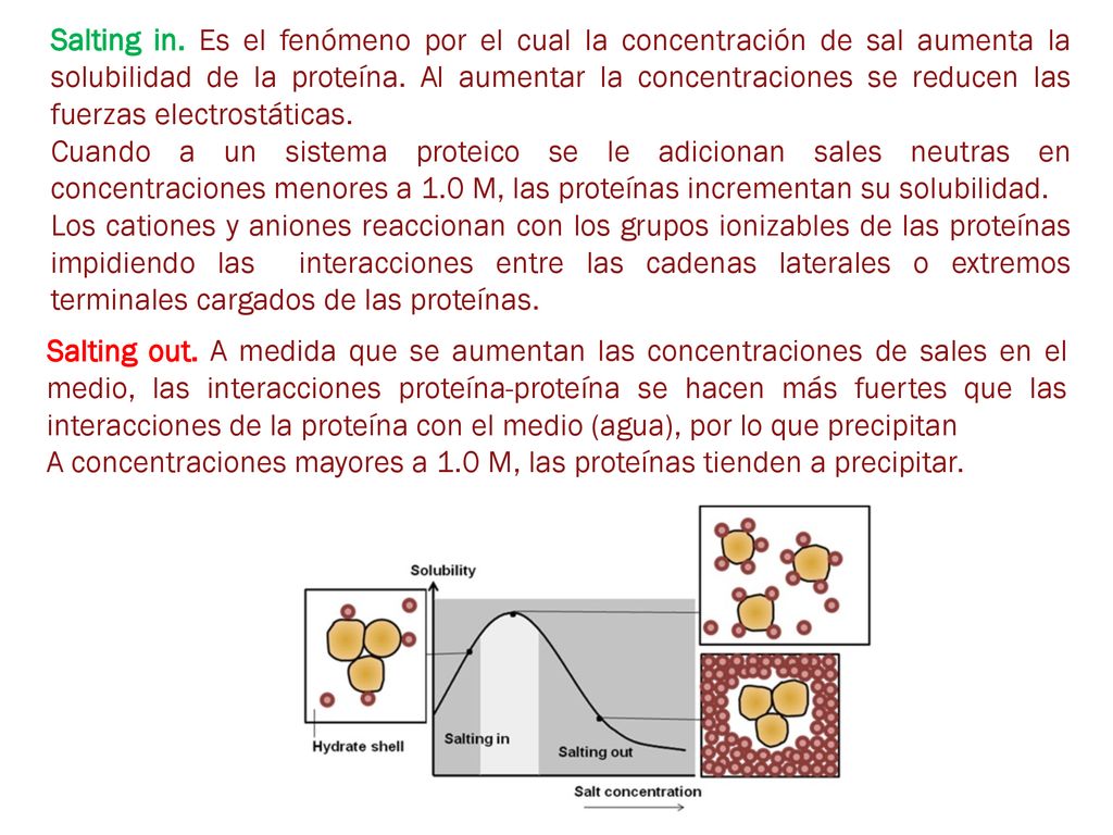 Salting in. Es el fenómeno por el cual la concentración de sal aumenta la solubilidad de la proteína. Al aumentar la concentraciones se reducen las fuerzas electrostáticas.