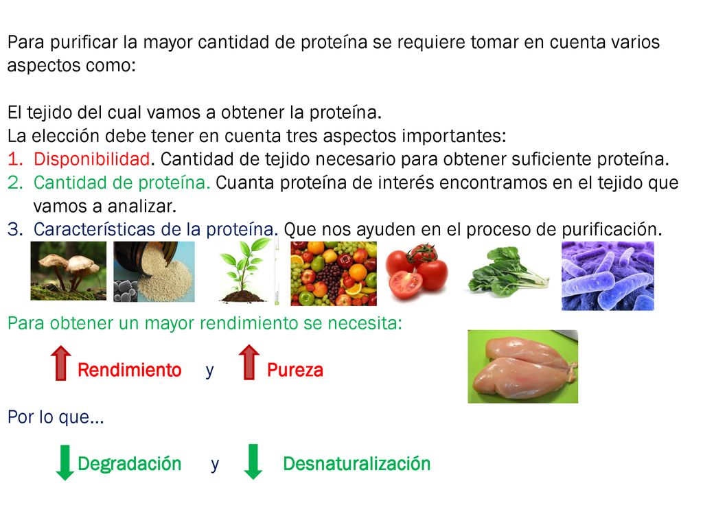 Para purificar la mayor cantidad de proteína se requiere tomar en cuenta varios aspectos como: