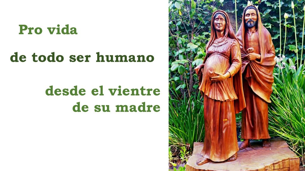 Pro vida de todo ser humano desde el vientre de su madre