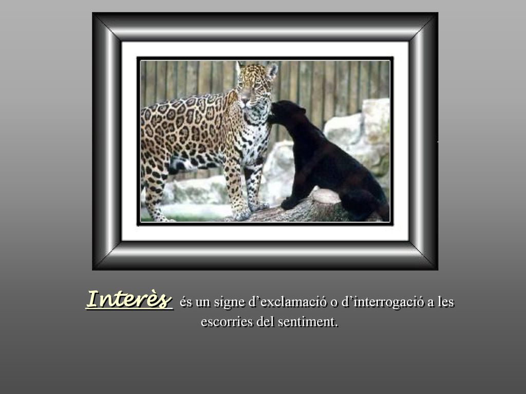 Interès és un signe d’exclamació o d’interrogació a les escorries del sentiment.