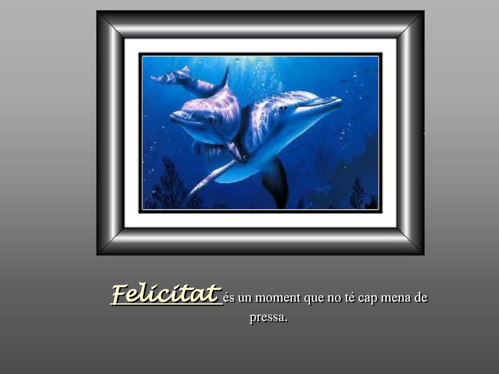 Felicitat és un moment que no té cap mena de pressa.