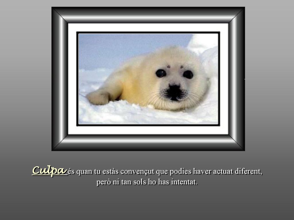 Culpa és quan tu estàs convençut que podies haver actuat diferent,
