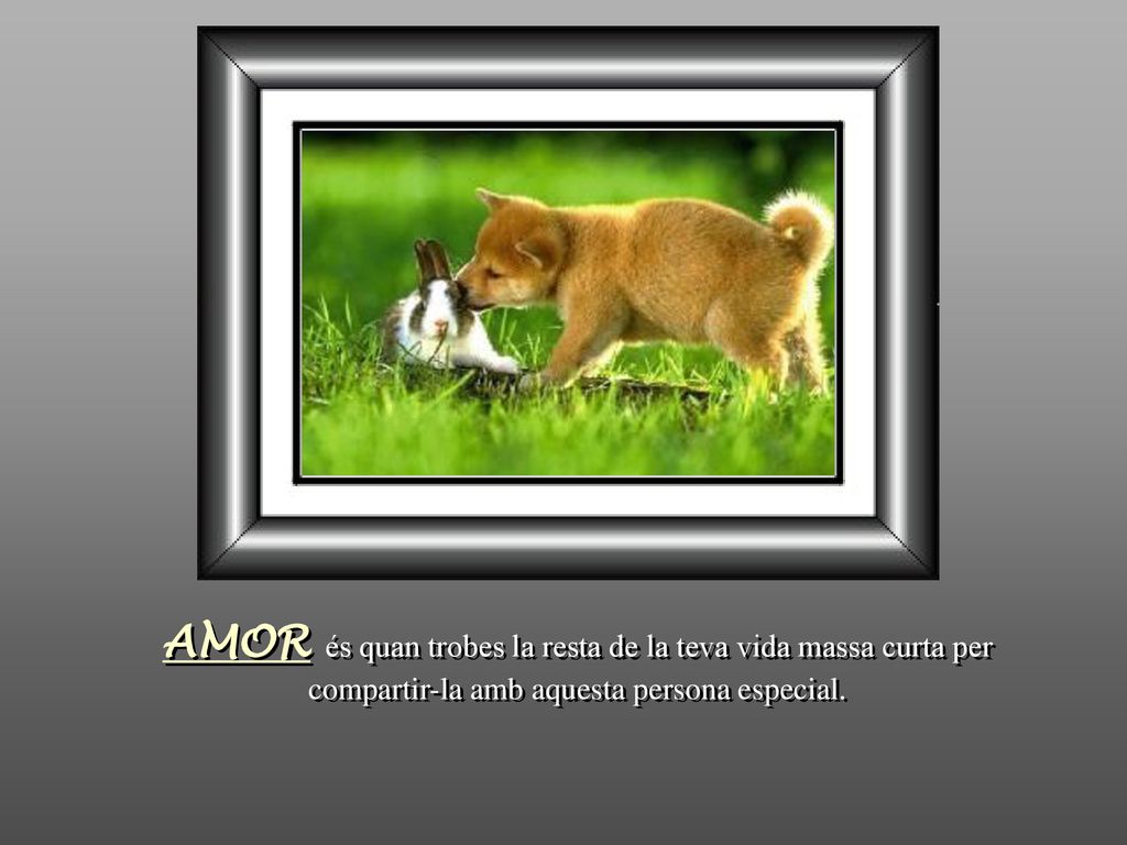 AMOR és quan trobes la resta de la teva vida massa curta per compartir-la amb aquesta persona especial.