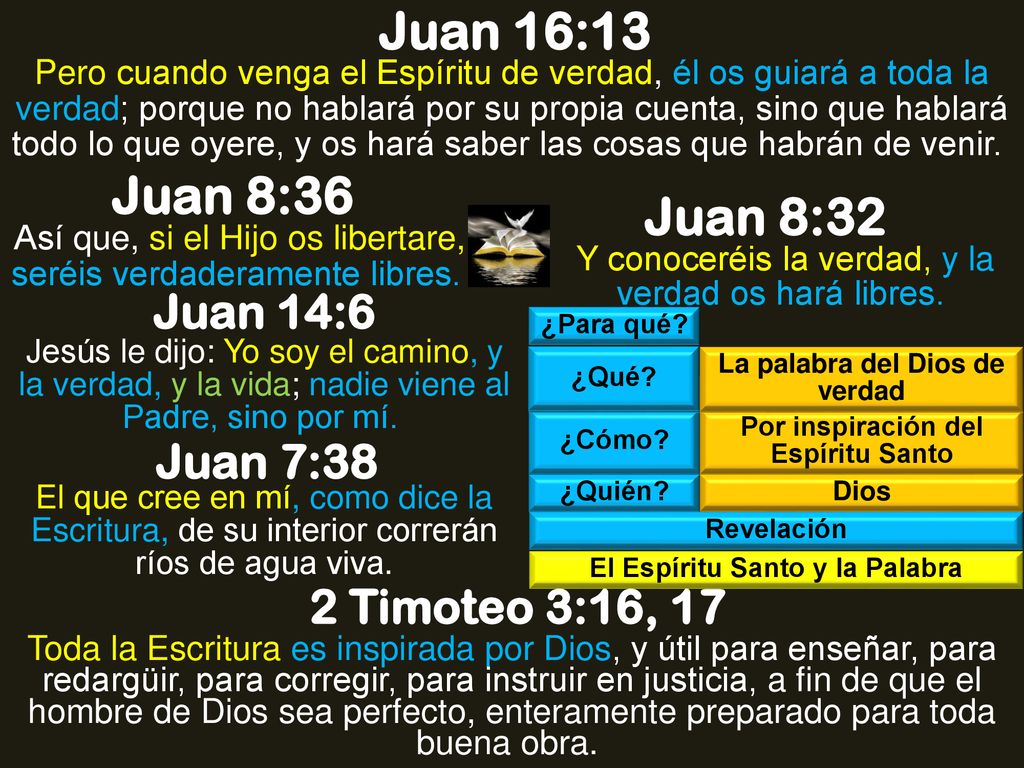 Juan 16:13 Juan 8:36 Juan 8:32 Juan 14:6 Juan 7:38 2 Timoteo 3:16, 17