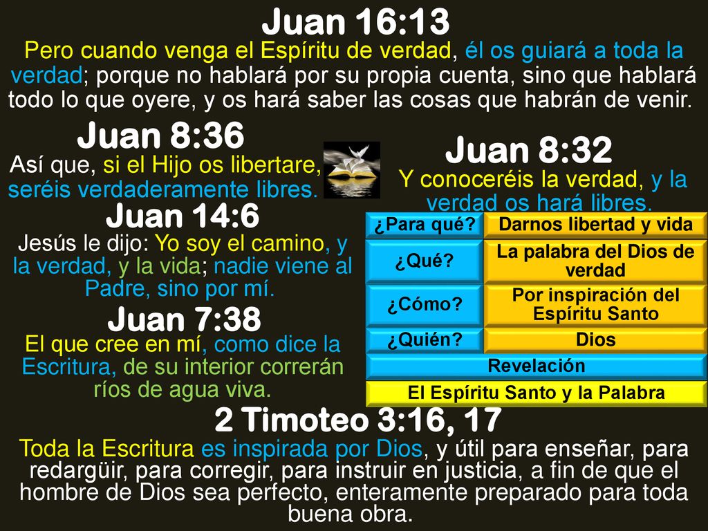 Juan 16:13 Juan 8:36 Juan 8:32 Juan 14:6 Juan 7:38 2 Timoteo 3:16, 17