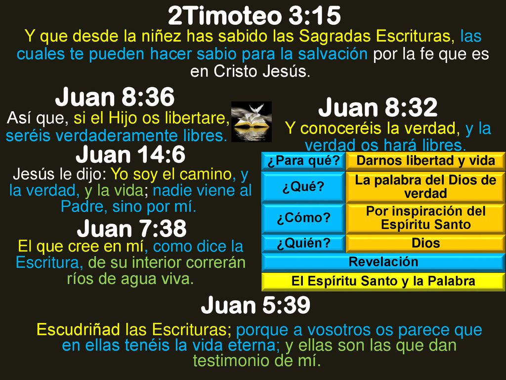 2Timoteo 3:15 Juan 8:36 Juan 8:32 Juan 14:6 Juan 7:38 Juan 5:39