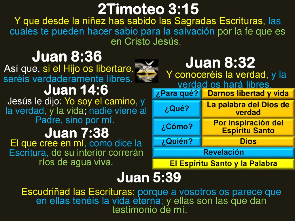 2Timoteo 3:15 Juan 8:36 Juan 8:32 Juan 14:6 Juan 7:38 Juan 5:39