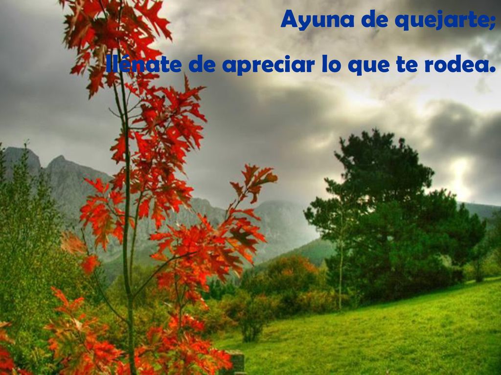 Ayuna de quejarte; llénate de apreciar lo que te rodea.