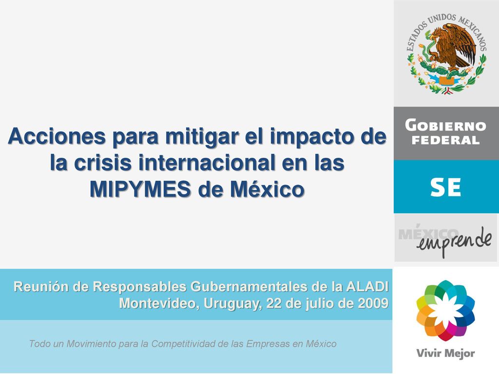 Acciones para mitigar el impacto de la crisis internacional en las MIPYMES de México