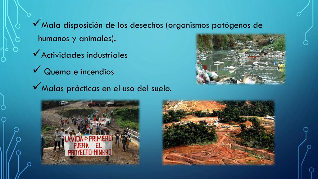 Mala disposición de los desechos (organismos patógenos de humanos y animales).