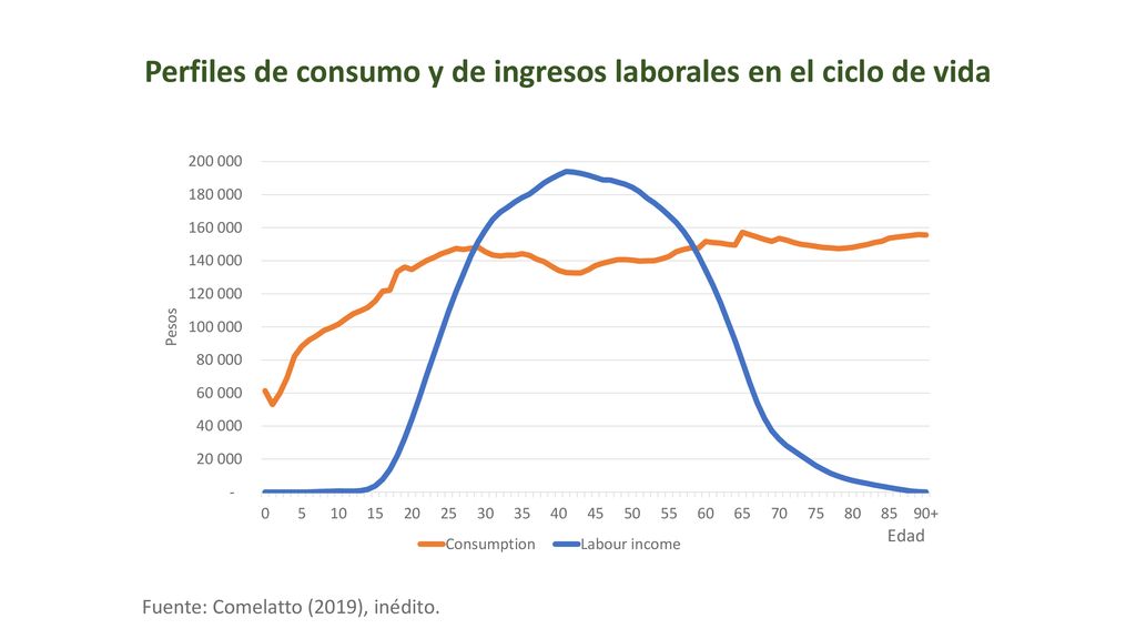 Perfiles de consumo y de ingresos laborales en el ciclo de vida