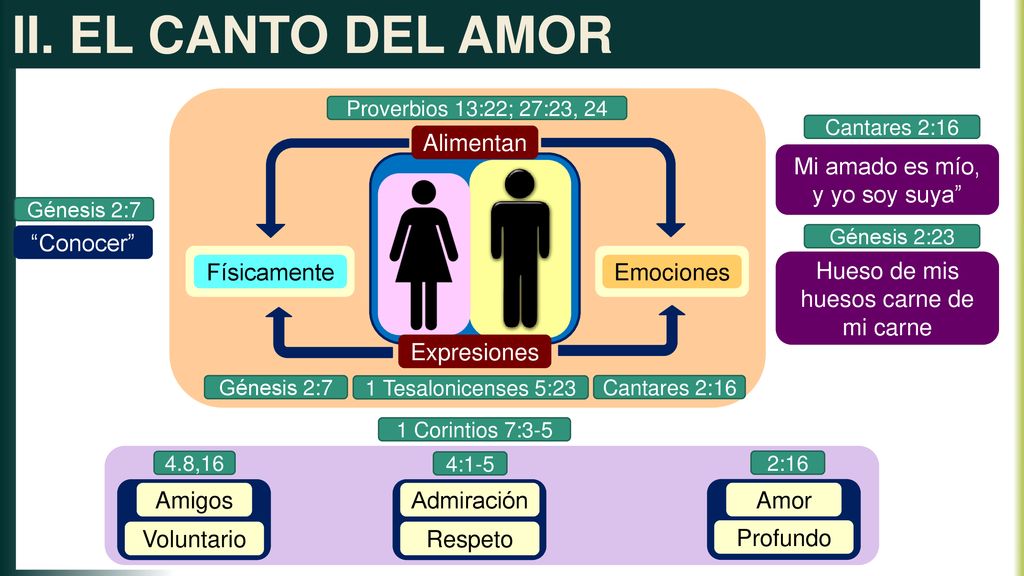 II. EL CANTO DEL AMOR Alimentan Mi amado es mío, y yo soy suya