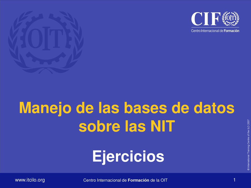 Manejo de las bases de datos sobre las NIT Ejercicios