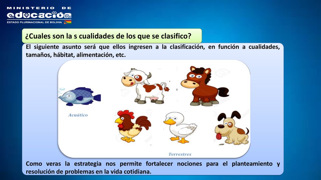 ¿Cuales son la s cualidades de los que se clasifico