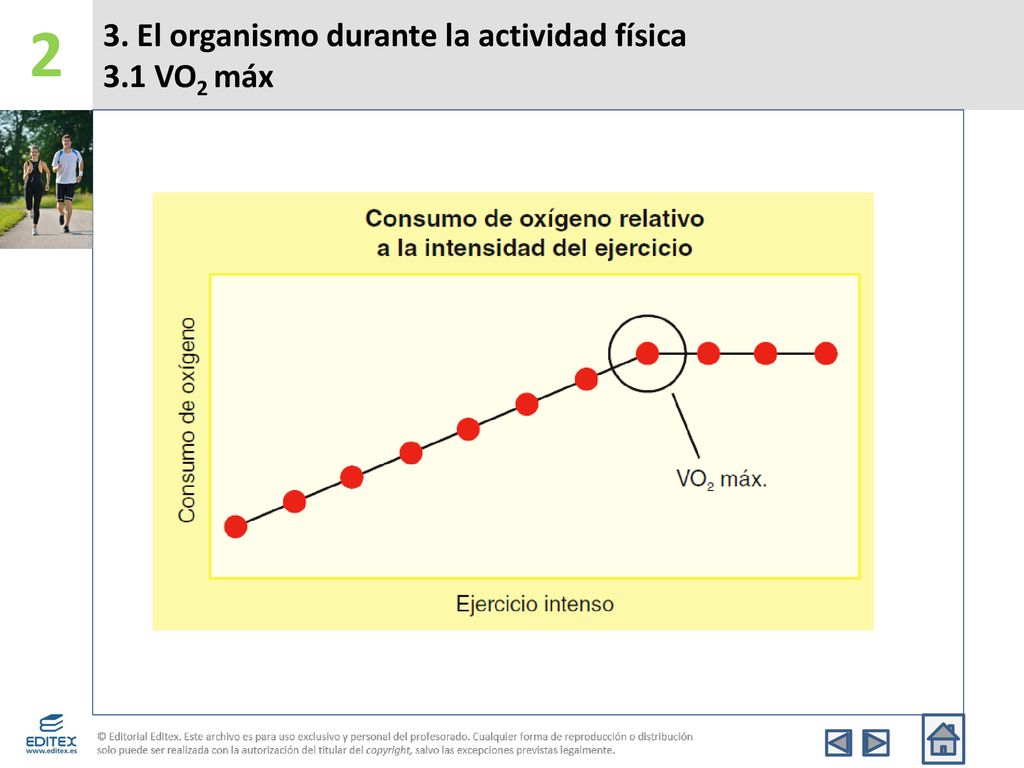 3. El organismo durante la actividad física 3.1 VO2 máx