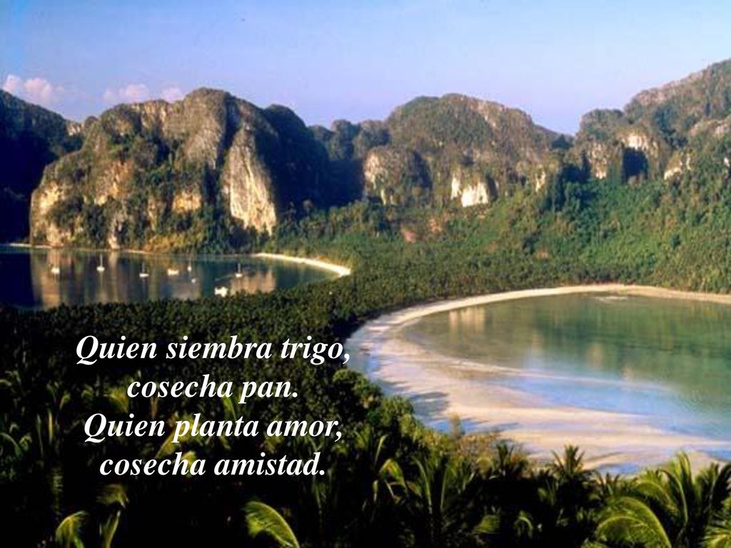 Quien siembra trigo, cosecha pan. Quien planta amor, cosecha amistad.