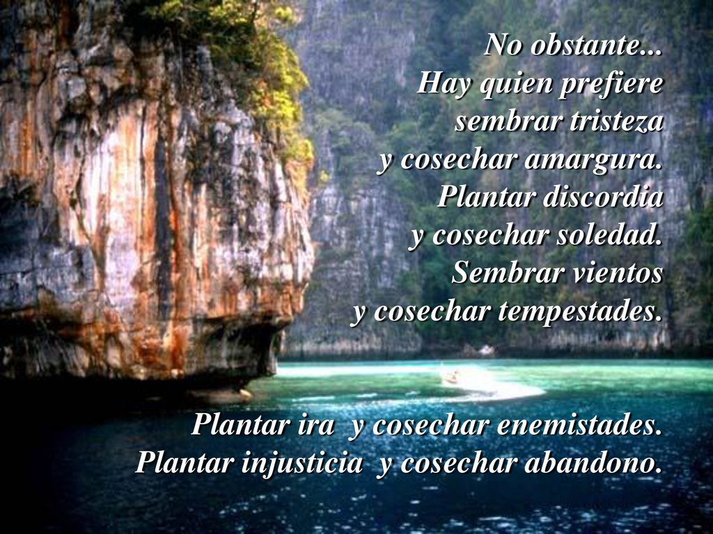 No obstante... Hay quien prefiere. sembrar tristeza y cosechar amargura.