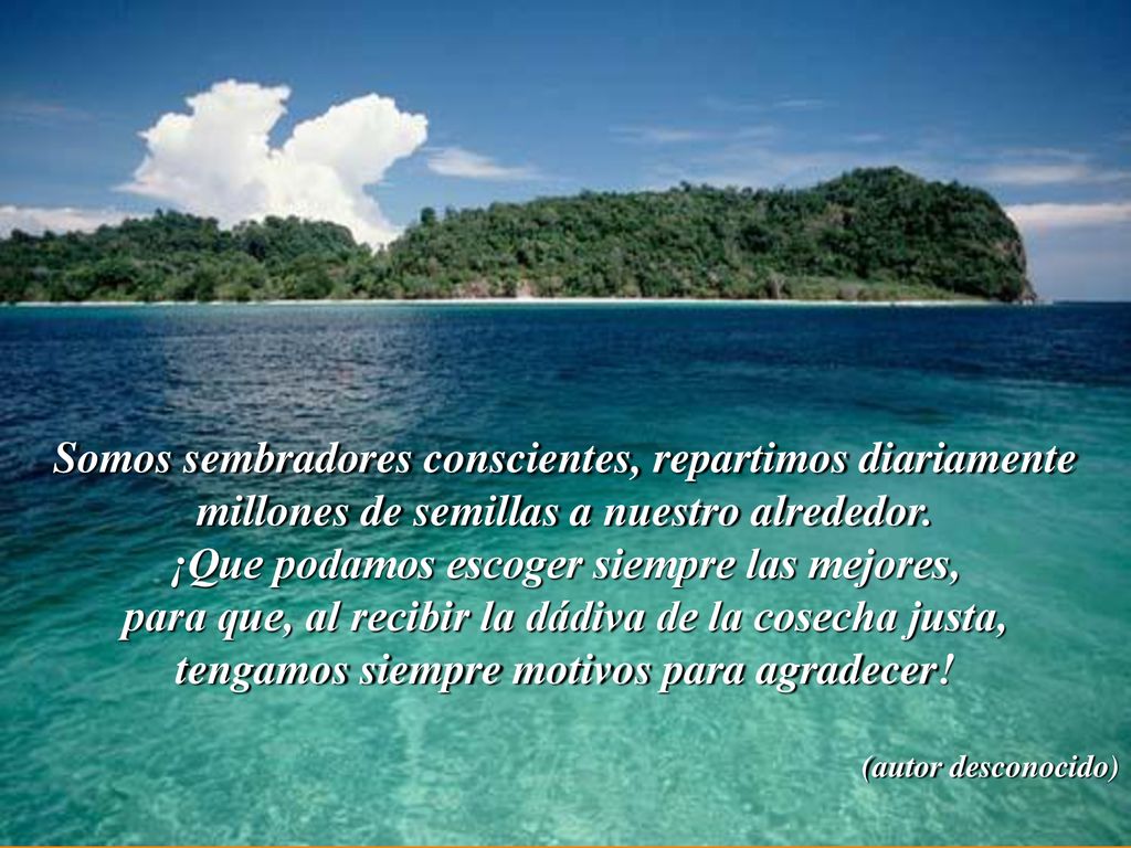 …... Somos sembradores conscientes, repartimos diariamente millones de semillas a nuestro alrededor.
