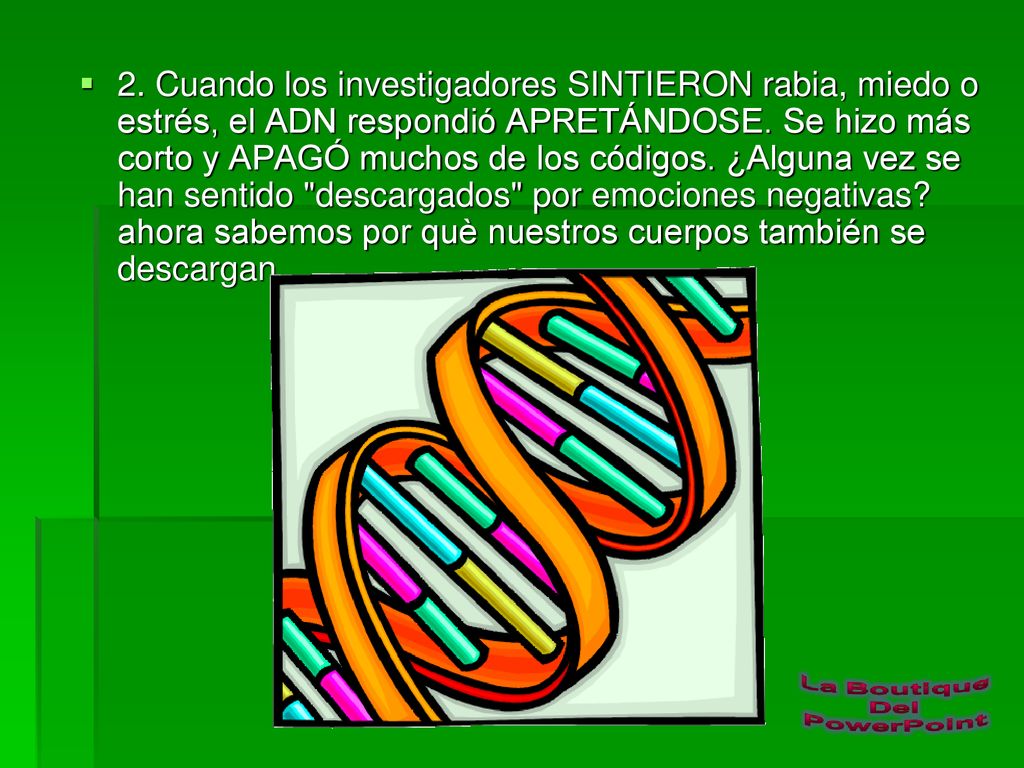 2. Cuando los investigadores SINTIERON rabia, miedo o estrés, el ADN respondió APRETÁNDOSE.
