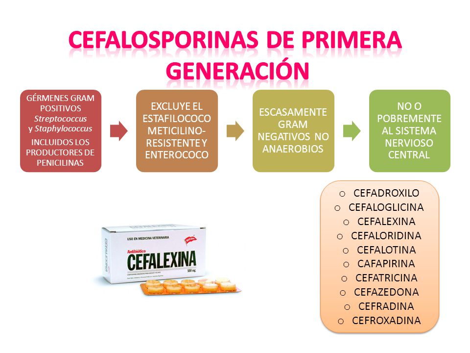 CEFALOSPORINAS DE PRIMERA