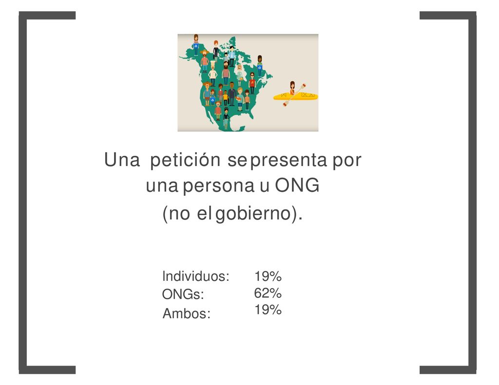 Una petición se presenta por una persona u ONG (no el gobierno).