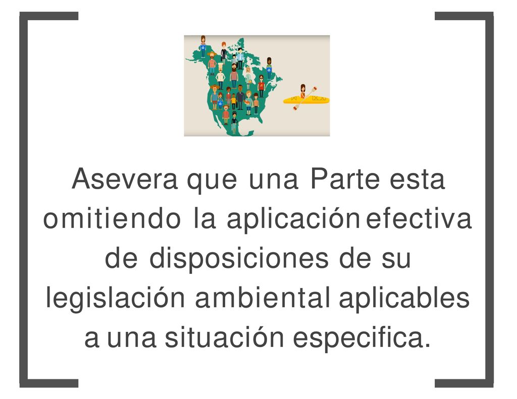 Asevera que una Parte esta omitiendo la aplicación efectiva de disposiciones de su legislación ambiental aplicables a una situación especifica.