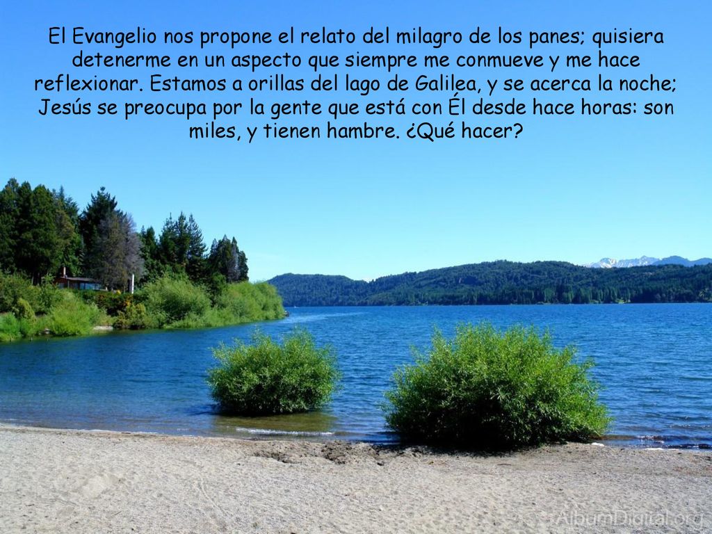 El Evangelio nos propone el relato del milagro de los panes; quisiera detenerme en un aspecto que siempre me conmueve y me hace reflexionar.