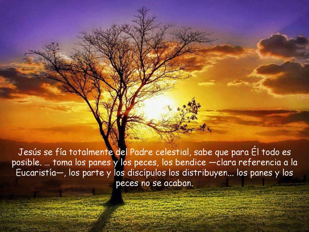 Jesús se fía totalmente del Padre celestial, sabe que para Él todo es posible.