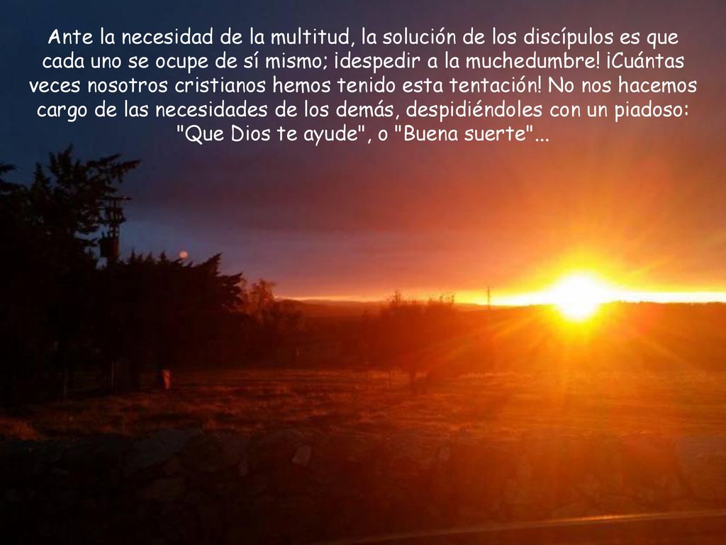 Ante la necesidad de la multitud, la solución de los discípulos es que cada uno se ocupe de sí mismo; ¡despedir a la muchedumbre! ¡Cuántas veces nosotros cristianos hemos tenido esta tentación.