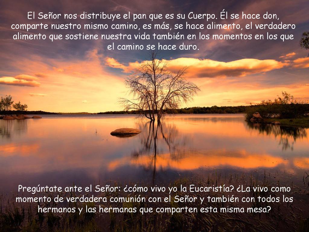 El Señor nos distribuye el pan que es su Cuerpo