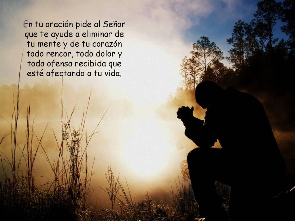 En tu oración pide al Señor que te ayude a eliminar de tu mente y de tu corazón todo rencor, todo dolor y toda ofensa recibida que esté afectando a tu vida.