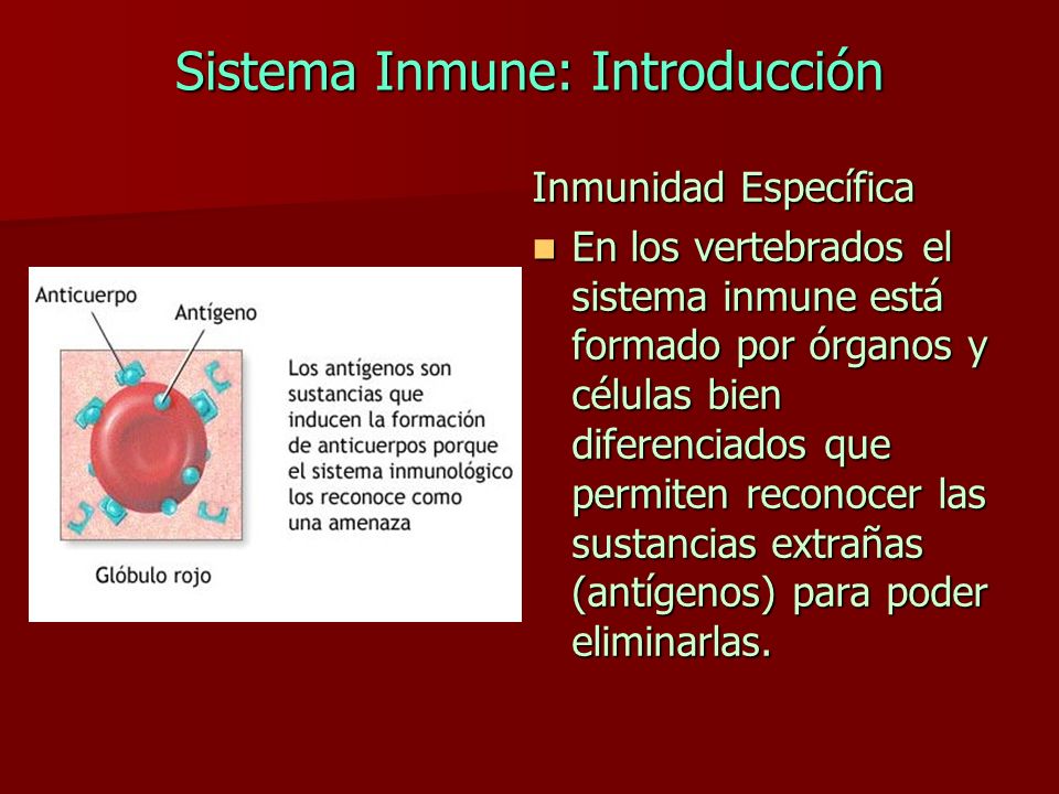 Sistema Inmune: Introducción