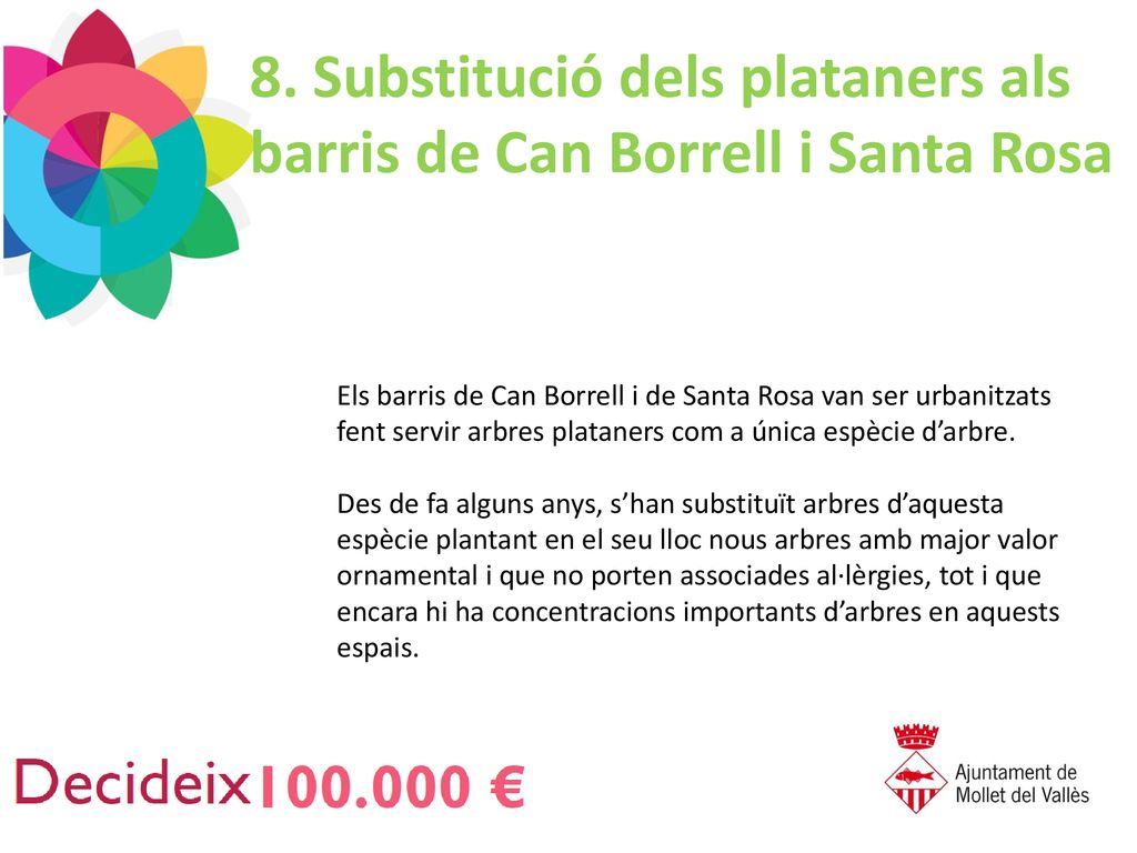 8. Substitució dels plataners als barris de Can Borrell i Santa Rosa