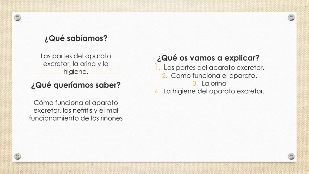 ¿Qué sabíamos Las partes del aparato excretor, la orina y la higiene.