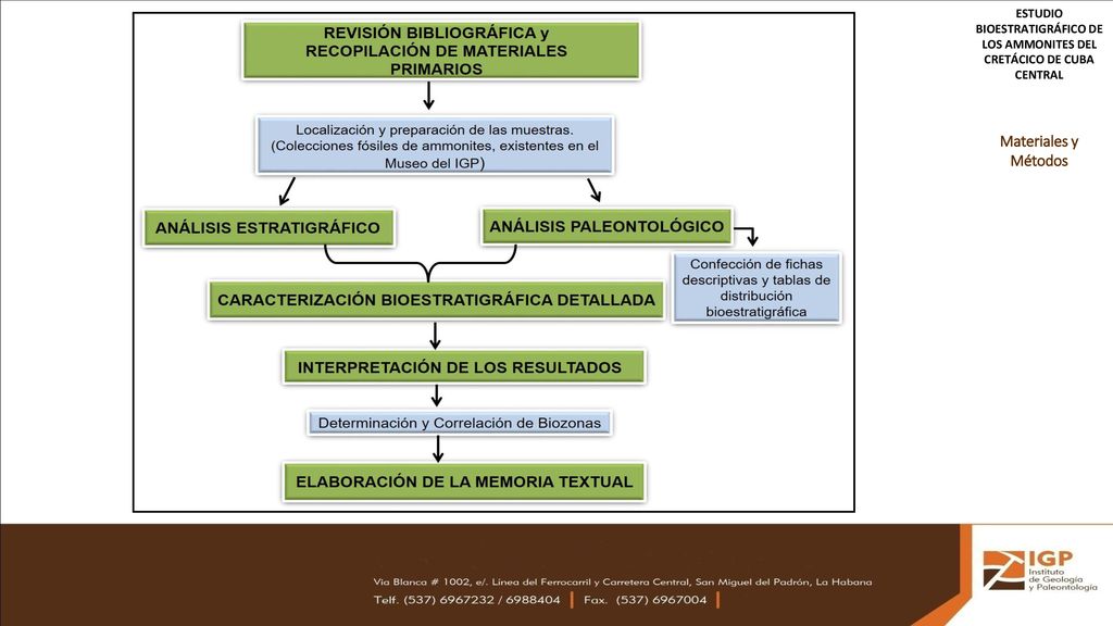 ESTUDIO BIOESTRATIGRÁFICO DE LOS AMMONITES DEL CRETÁCICO DE CUBA CENTRAL