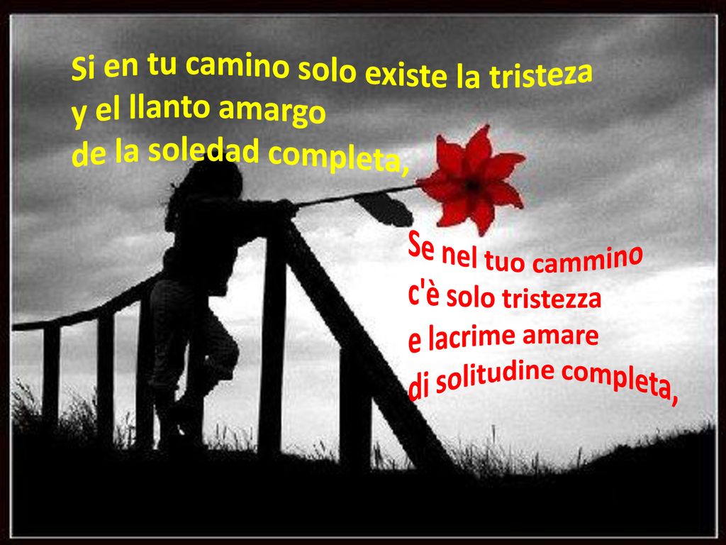 Si en tu camino solo existe la tristeza y el llanto amargo