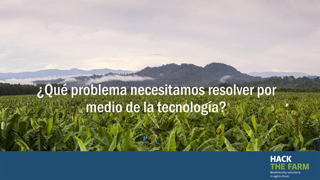 ¿Qué problema necesitamos resolver por medio de la tecnología