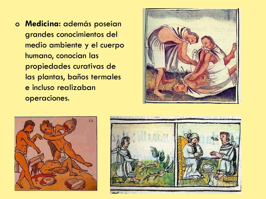 Medicina: además poseían grandes conocimientos del medio ambiente y el cuerpo humano, conocían las propiedades curativas de las plantas, baños termales e incluso realizaban operaciones.